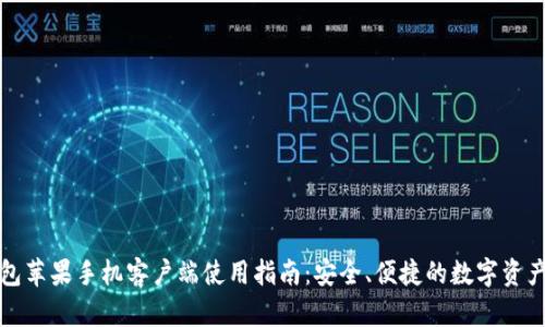 TP钱包苹果手机客户端使用指南：安全、便捷的数字资产管理
