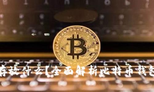 比特币钱包用来存放什么？全面解析比特币钱包的功能与安全性