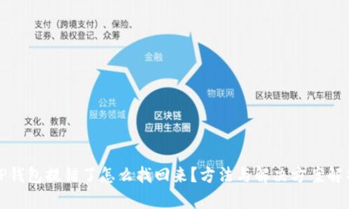 TP钱包提错了怎么找回来？方法与解决方案解析