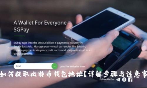 : 如何提取比特币钱包地址？详解步骤与注意事项