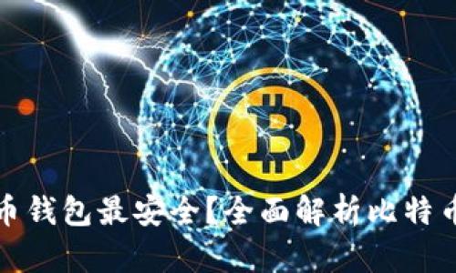 什么样的比特币钱包最安全？全面解析比特币钱包的安全性
