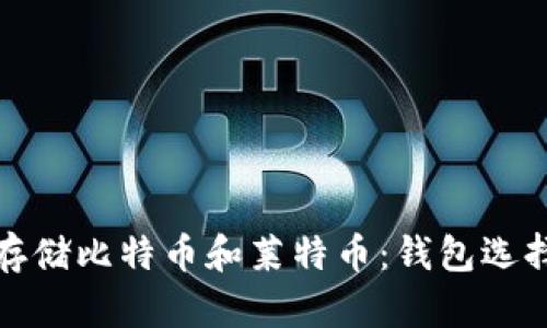 : 如何安全存储比特币和莱特币：钱包选择与使用指南