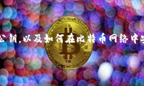 比特币钱包ID是公钥这个主题涉及一些关键概念，包括比特币的钱包、私钥、公钥，以及如何在比特币网络中安全地存储和管理数字资产。接下来，让我们制定一个符合大众和的内容框架。

比特币钱包ID与公钥的关系解析