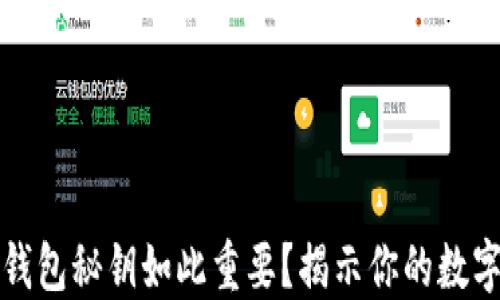 
为什么比特币钱包秘钥如此重要？揭示你的数字资产安全之道