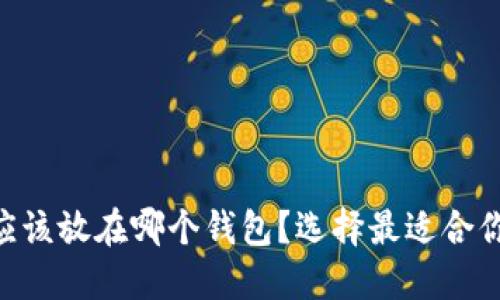  USDT应该放在哪个钱包？选择最适合你的选项