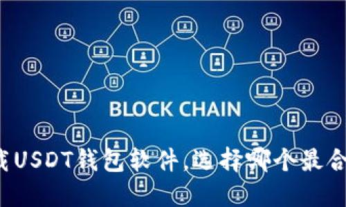 下载USDT钱包软件，选择哪个最合适？