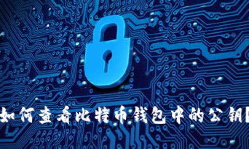 如何查看比特币钱包中的公钥？