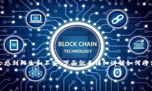 比特币私钥导入钱包的过程其实并不复杂，但对于初学者来说，可能会感到陌生和不安。下面就来详细讲解如何将你的私钥导入比特币钱包，并剖析一些可能会遇到的问题和解决方法。

如何把私钥导入比特币钱包？