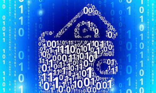 

最大的以太坊钱包币：如何选择和管理你的数字资产