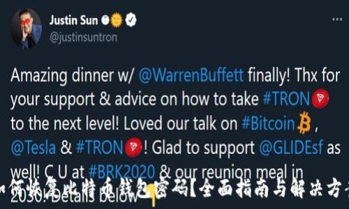  
如何恢复比特币钱包密码？全面指南与解决方案