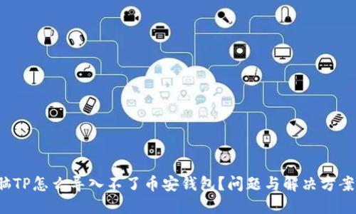  电脑TP怎么导入不了币安钱包？问题与解决方案详解