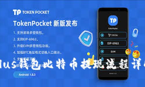 Plus钱包比特币提现流程详解