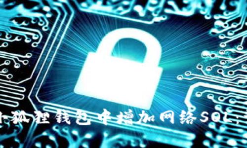 如何在小狐狸钱包中增加网络SOL：详细指南