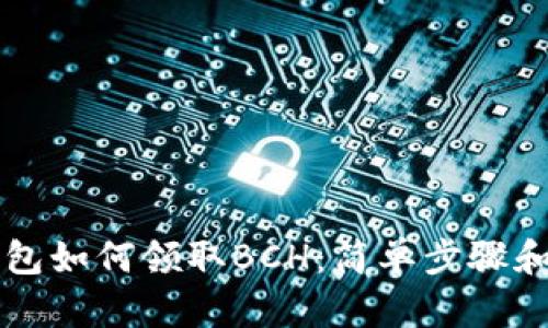 比特币钱包如何领取BCH：简单步骤和技巧指南