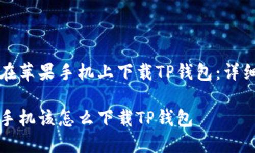 如何在苹果手机上下载TP钱包：详细指南

苹果手机该怎么下载TP钱包