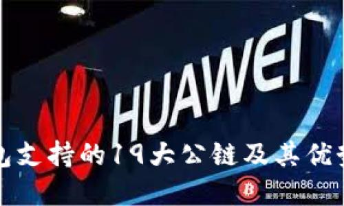 TP钱包支持的19大公链及其优势详解