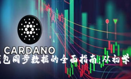 比特币钱包同步数据的全面指南：从初学者到专家