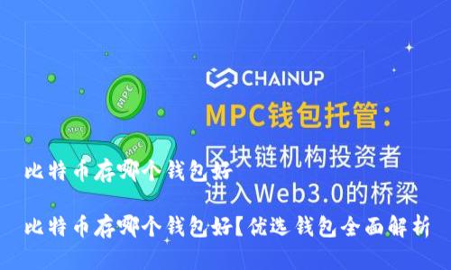 比特币存哪个钱包好

比特币存哪个钱包好？优选钱包全面解析