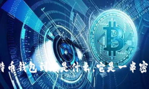 : 比特币钱包到底是什么,它是一串密码吗?