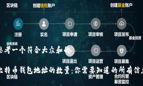 思考一个符合大众和的

比特币钱包地址的数量：你需要知道的所有信息