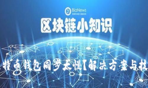 比特币钱包同步太慢？解决方案与技巧
