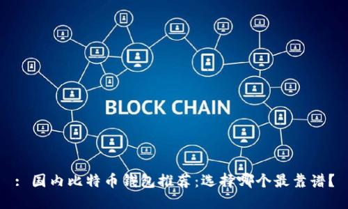 : 国内比特币钱包推荐：选择哪个最靠谱？