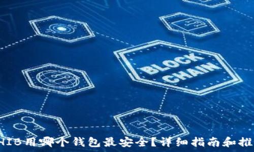   
SHIB用哪个钱包最安全？详细指南和推荐