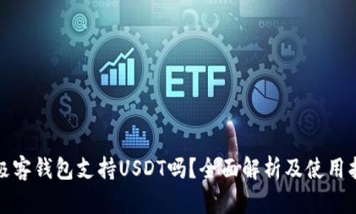 : 极客钱包支持USDT吗？全面解析及使用指南