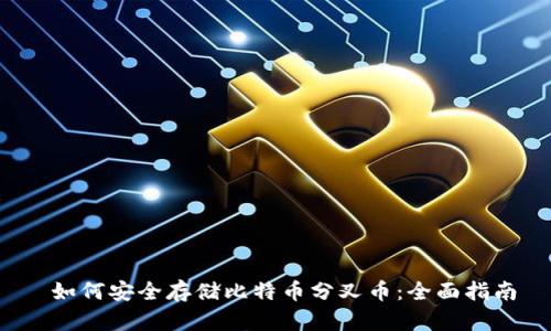 如何安全存储比特币分叉币：全面指南