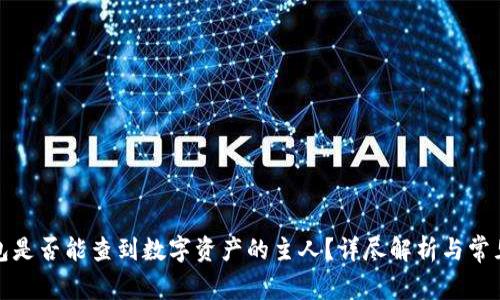 TP钱包是否能查到数字资产的主人？详尽解析与常见问题