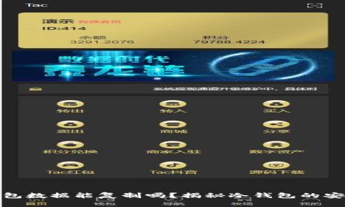 比特币冷钱包数据能复制吗？揭秘冷钱包的安全性与风险