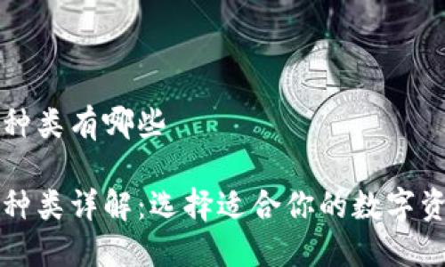 比特币钱包种类有哪些

比特币钱包种类详解：选择适合你的数字资产管理方式