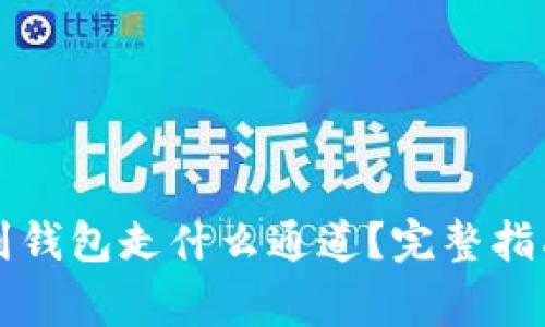 狗狗币提币到钱包走什么通道？完整指南与注意事项