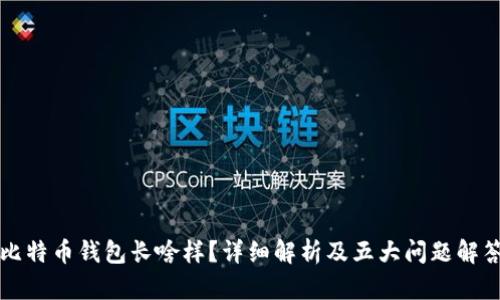 比特币钱包长啥样？详细解析及五大问题解答