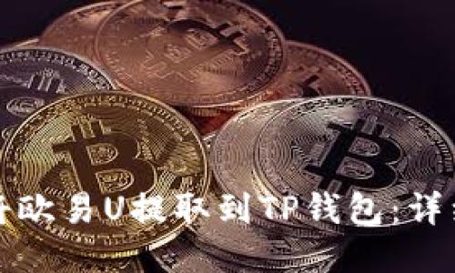 如何将欧易U提取到TP钱包：详细指南
