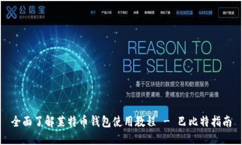 全面了解莱特币钱包使用教程 - 巴比特指南